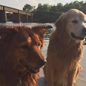 Meet your Posher, Carolyn